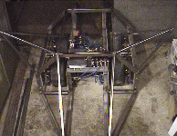 The hog with its ears